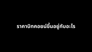 ราคาบิทคอยน์ขึ้นอยู่กับอะไร